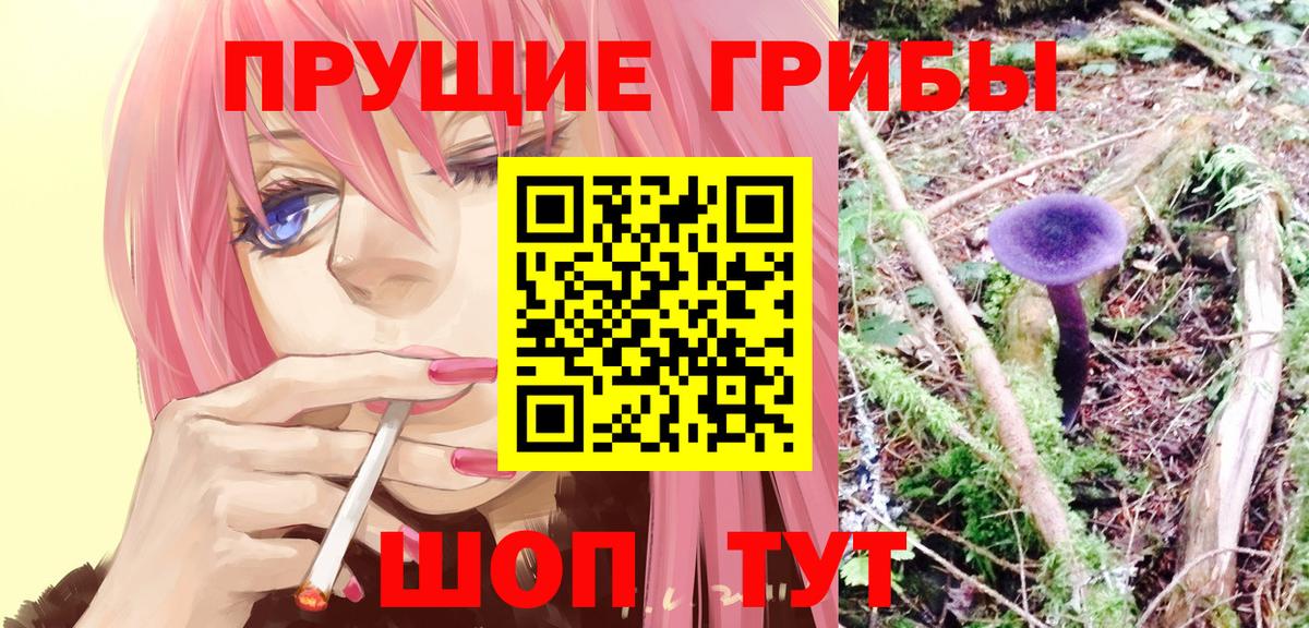 Валуйки  даркнет сайт  Галлюциногенные грибы Magic Shrooms  Вход с VPN  Галлюциногенные грибы прущие грибы 