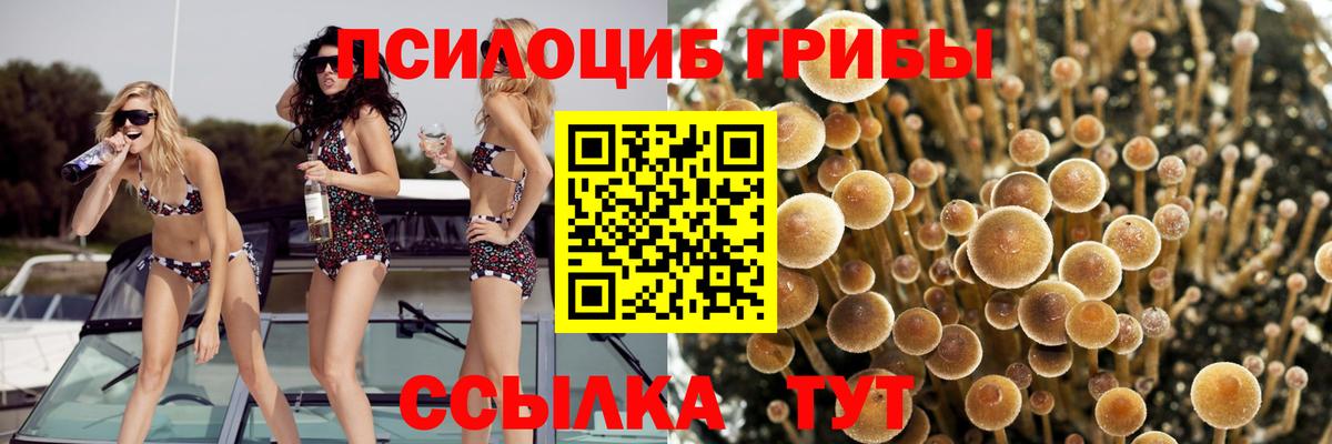 Псилоцибиновые грибы мицелий Валуйки